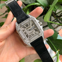 Đồng Hồ  CarTier CT3110